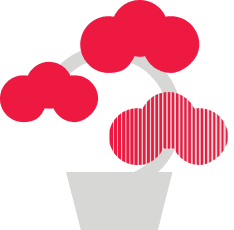 Bonsai tree